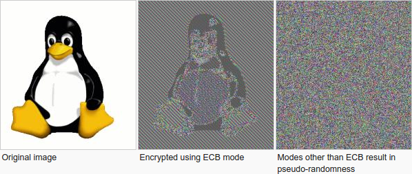 ECB Penguin